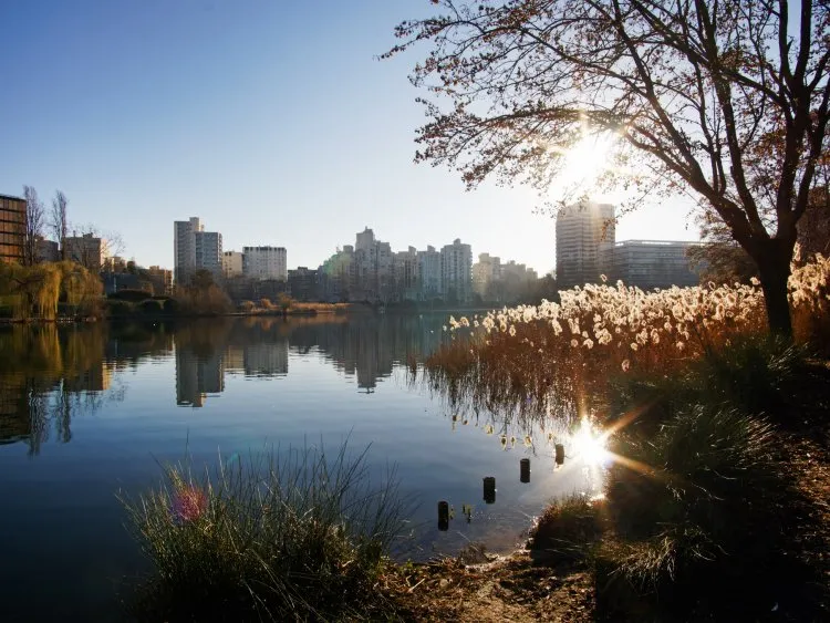 Devenir propriétaire dans l'immobilier neuf à Créteil, à deux pas de Paris