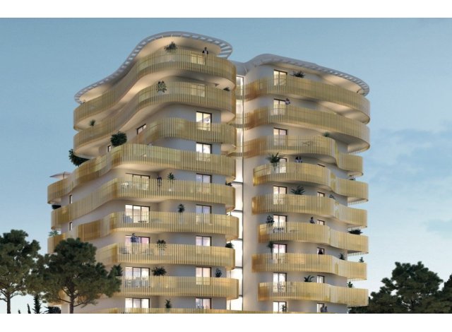 COUP DE COEUR BRS MONTPELLIER appart Montpellier