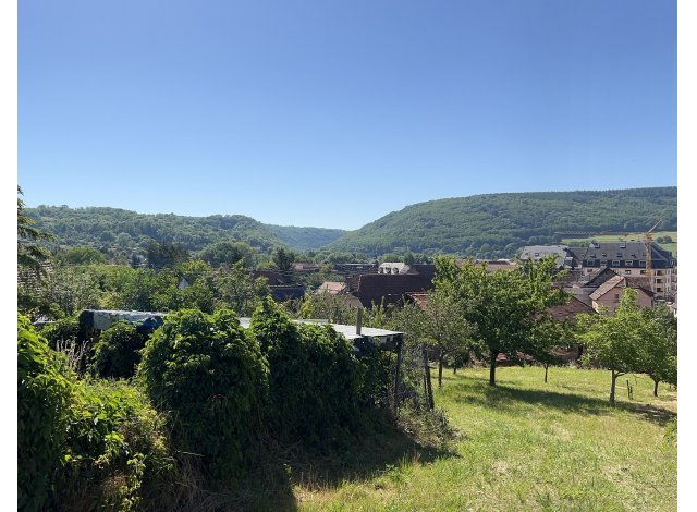 Le Belvedere appart Wasselonne