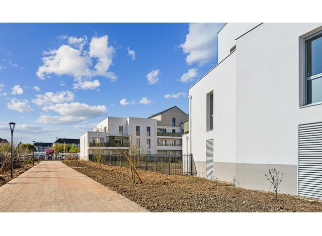 Patio Kipolis appart Tours