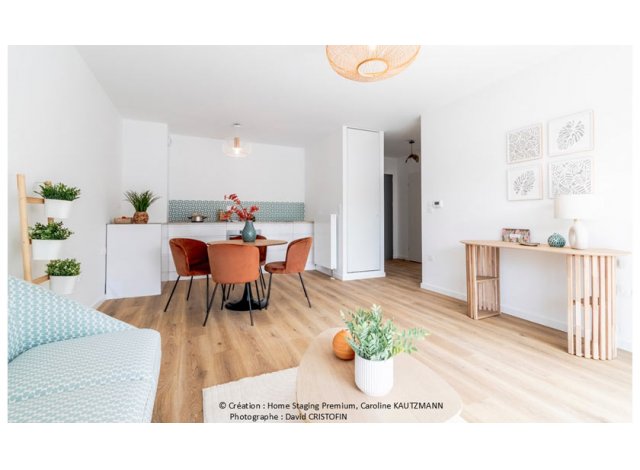 Les Villas du Parc mixte Nancy