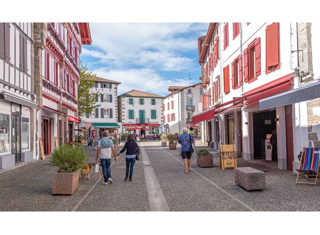 Programme immobilier neuf appart Espelette