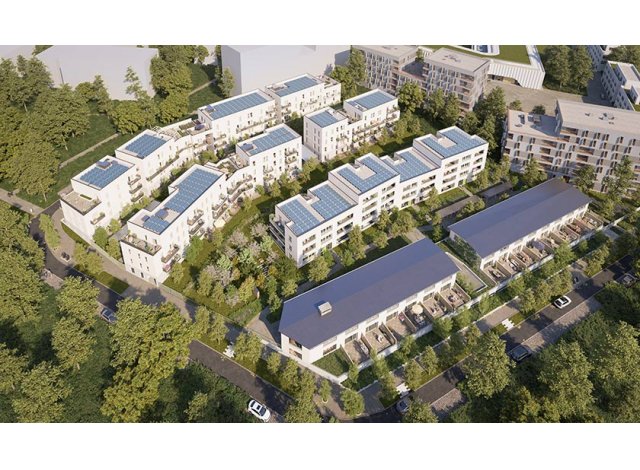 Cergy programme neuf  Vivarea