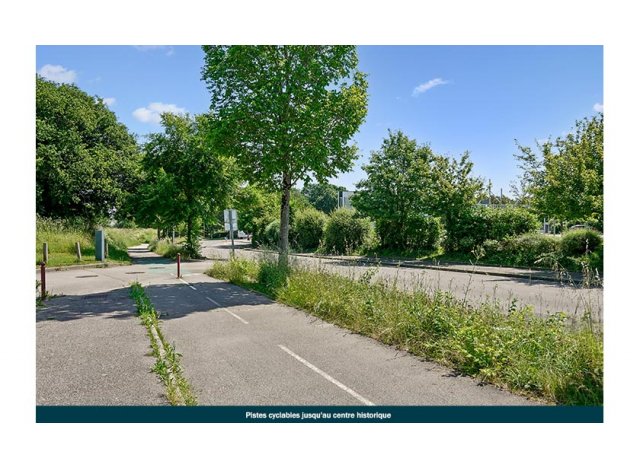 Vannes - Rivage Nature programme neuf Vannes