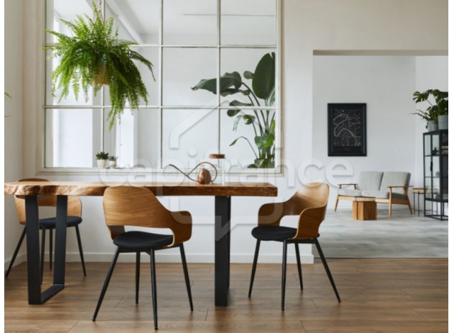 Programme immobilier neuf appart Massy