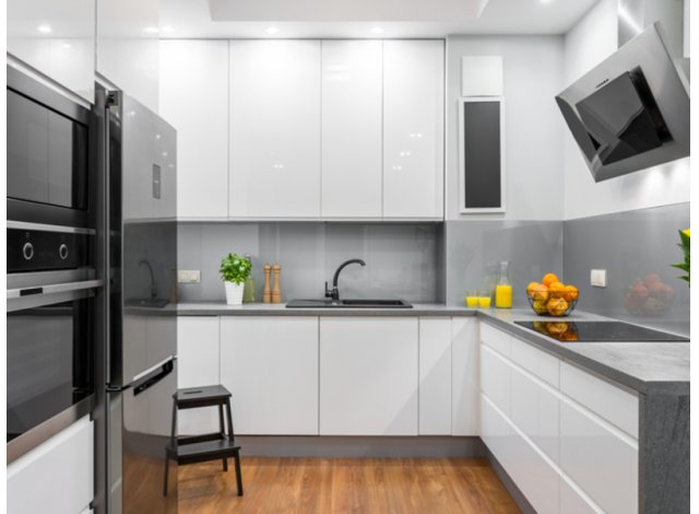 Programme immobilier neuf appart Paris