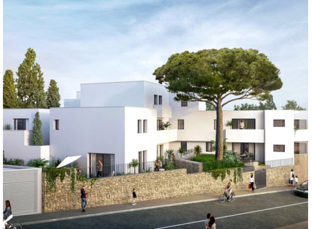 Logement neuf Montpellier : Montpellier C1