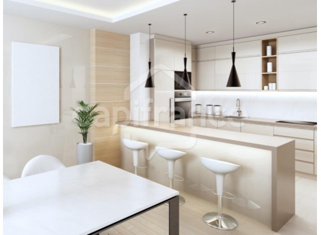 Programme immobilier Paris C1