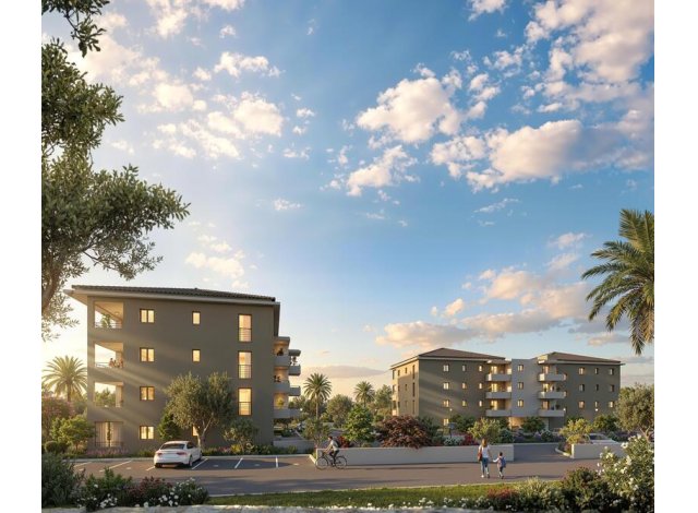 Immobilier neuf Folelli : Folelli C1