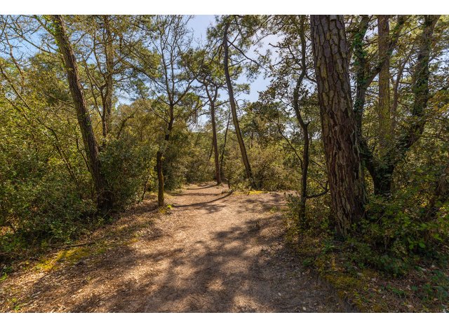 Programme immobilier neuf appart Saint-Jean-de-Monts