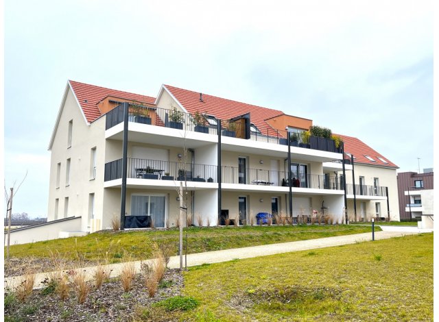 Domaine du Veilleur Phase 01 Immobilier neuf Turckheim