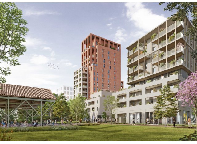 Saint-Louis programme neuf Les Lumieres