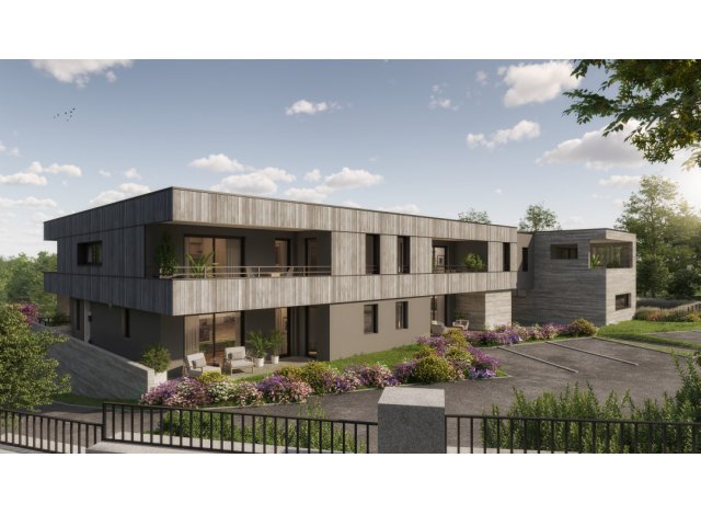 Le Bellevue appart Thionville