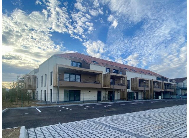 Immobilier neuf Cattenom : Le Hameau des Hirondelles