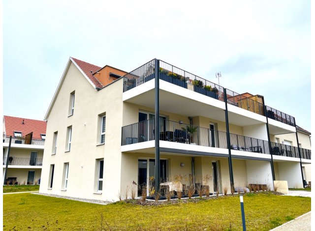 Programme neuf Turckheim : Domaine du Veilleur Phase 01