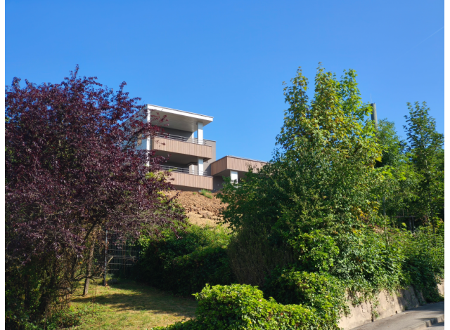 Programme immobilier neuf appart Thionville