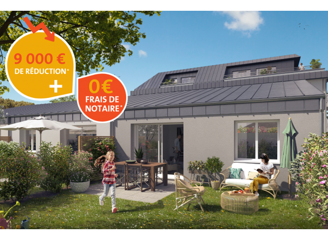 Organza mixte Cholet