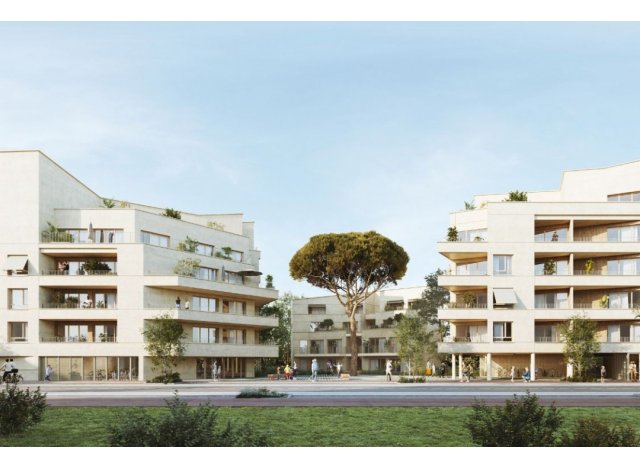 Toulouse programme neuf  Terre d'Envol