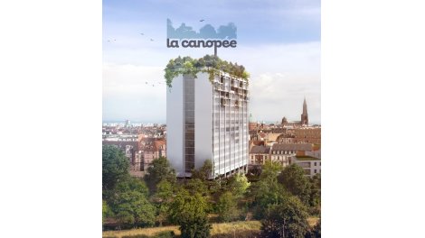 La Canopée appart Strasbourg