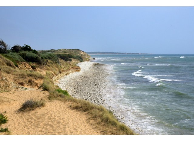 Côte & Sauvage appart La Tremblade