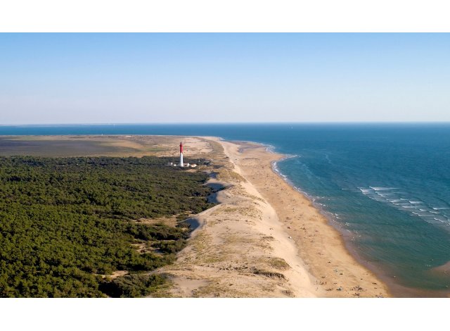Côte & Sauvage appart La Tremblade