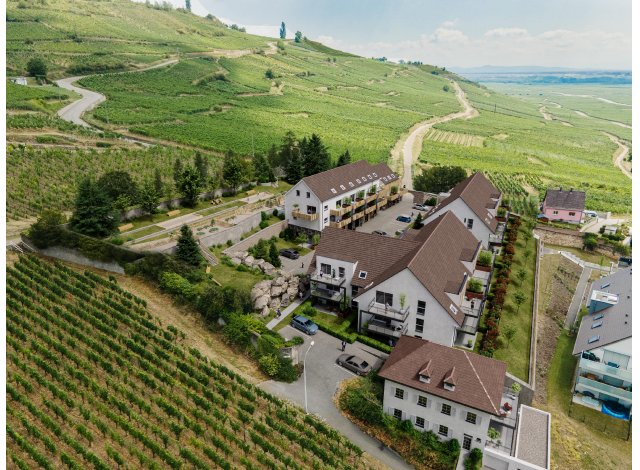 Les Hauts des Clarisses appart Sigolsheim