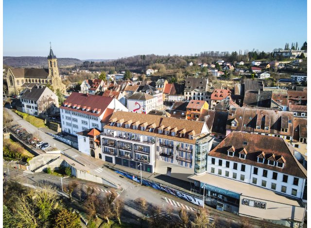 Les Belles Vues appart Altkirch