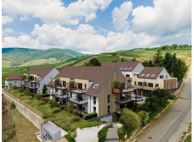 Les Hauts des Clarisses appart Sigolsheim