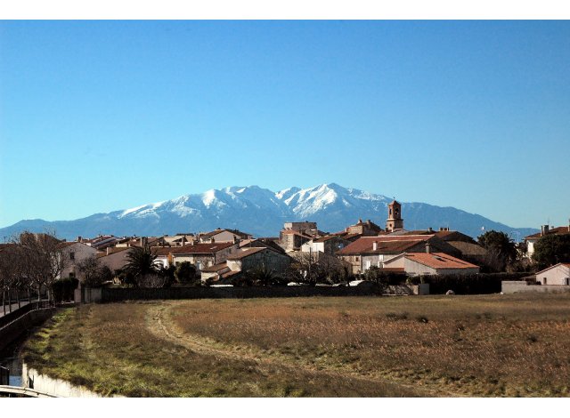 Les Vignes maison Sainte-Marie-la-Mer
