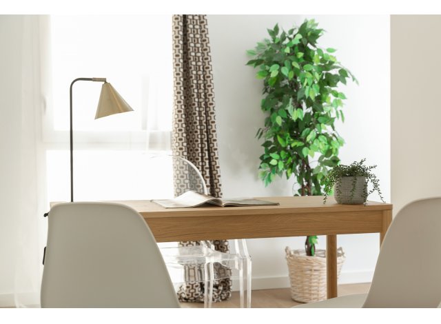 Programme immobilier neuf appart Marseille 6ème