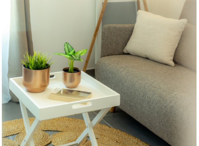 Programme immobilier neuf  Strasbourg