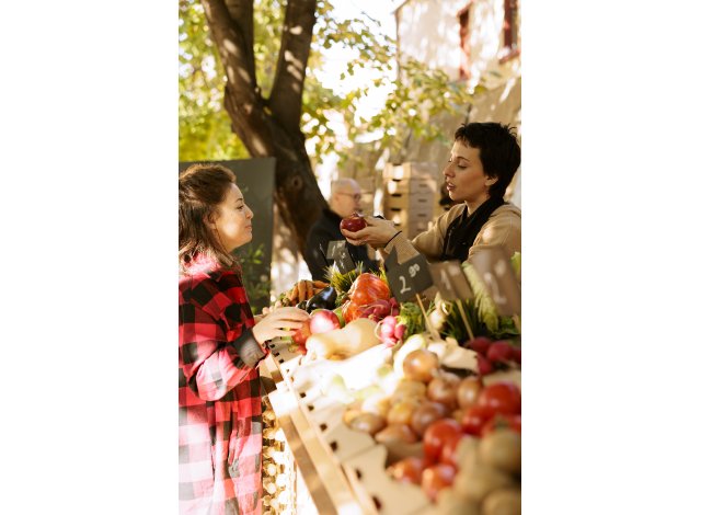 Programme immobilier neuf appart Rognes