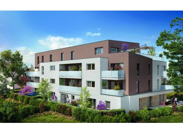 Solaris appart Saint-Louis