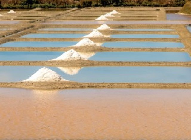 Les Salines programme neuf Guérande