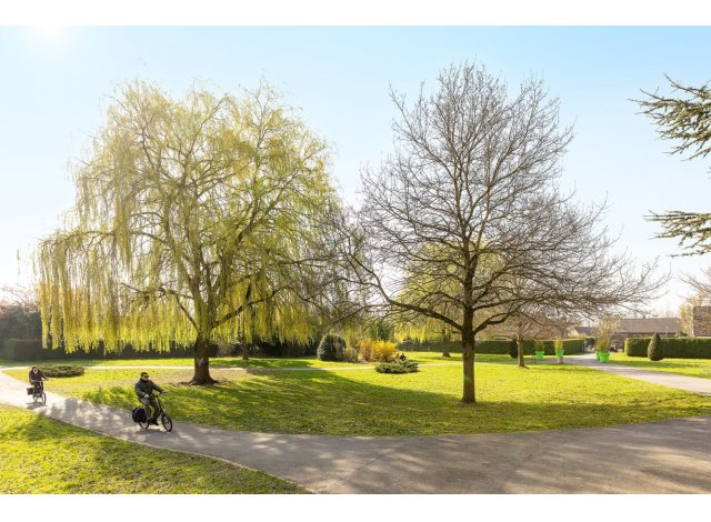 Programme immobilier neuf appart Orchies