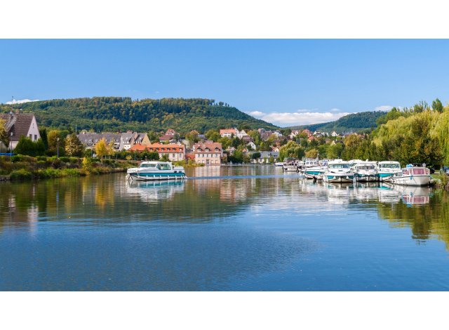 Saverne CG 1 appart Saverne
