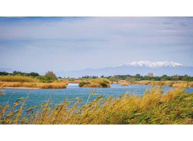 Programme immobilier neuf appart Le Barcares