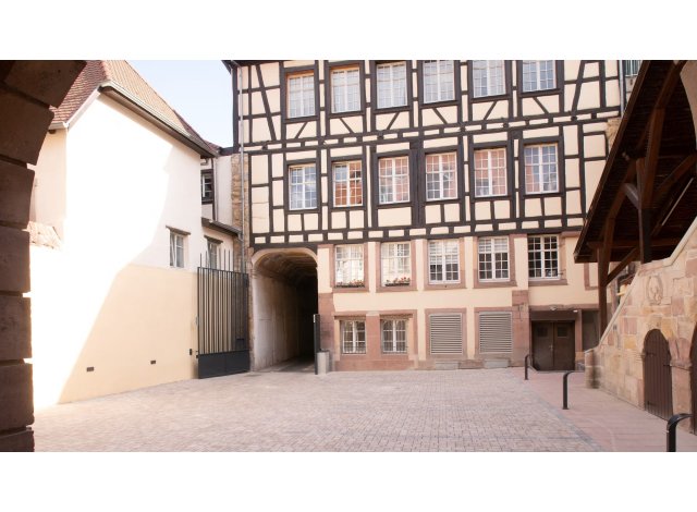 Programme immobilier neuf appart Colmar
