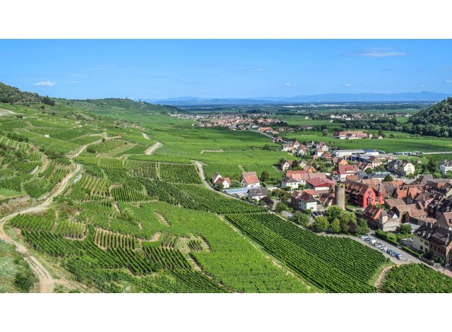 Wintzenheim CG 1 appart Wintzenheim