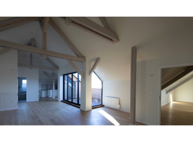 Programme immobilier neuf appart Strasbourg