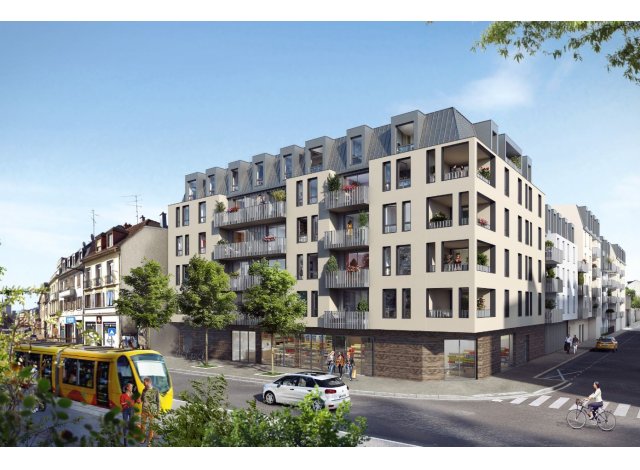 Grand Angle appart Mulhouse