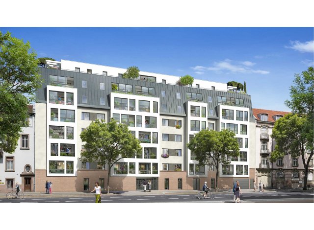 Nouvel Art appart Strasbourg
