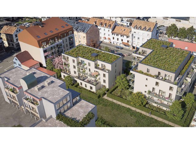 L'Ecrin des Lys appart Saint-Louis