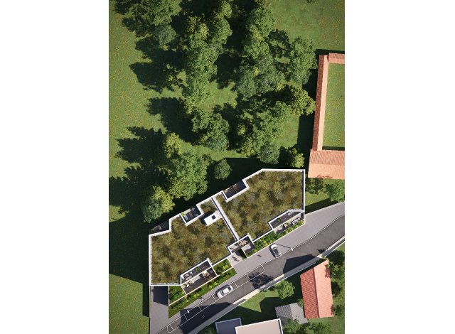 Programme immobilier neuf appart Nancy