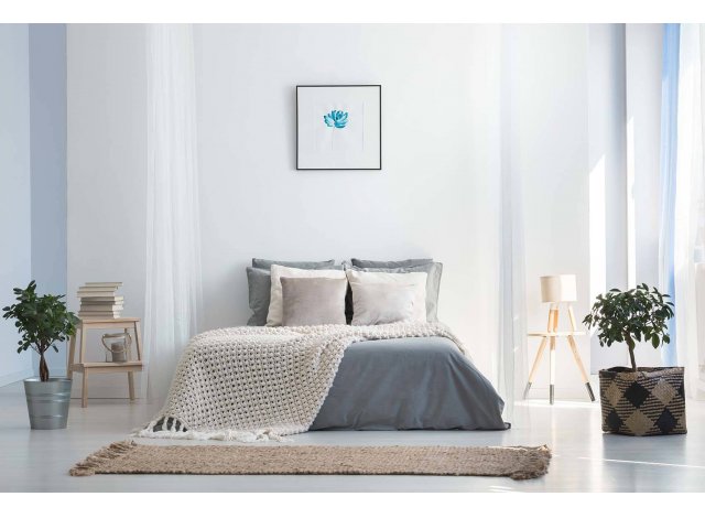 Logement neuf Saint-Louis : Eureka