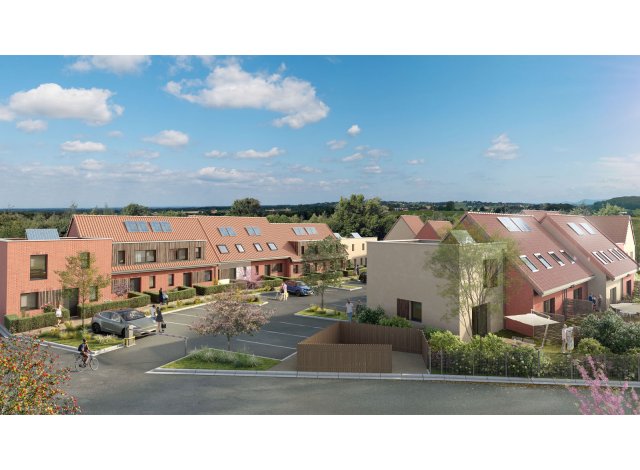 Programme immobilier neuf maison Thumeries