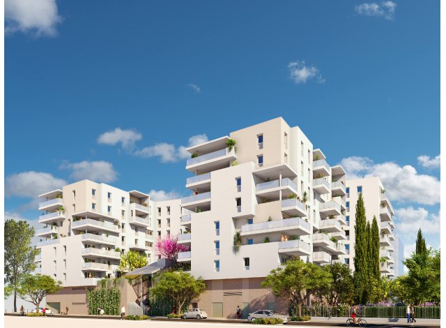 Sète programme neuf  Sete' Île