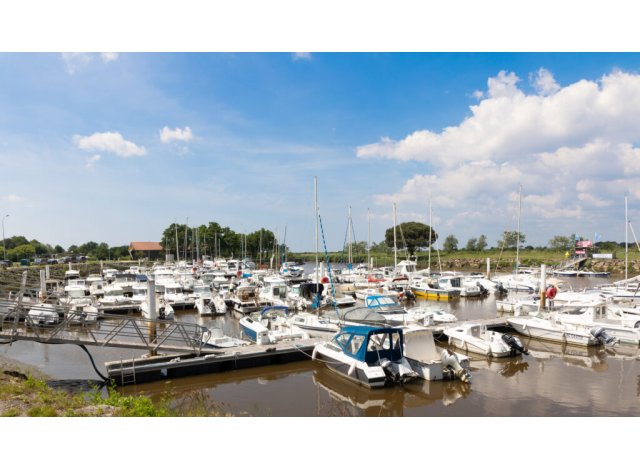 Programme neuf Le Teich : Le Clos des Grands Pins