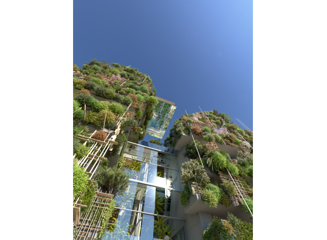 Programme immobilier neuf appart Montpellier