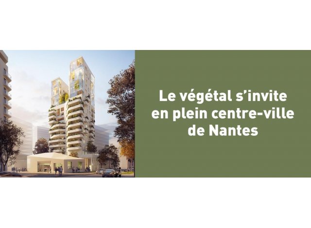 Duo des Cimes immobilier neuf